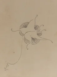 La mariposa de Whistler, c.1890